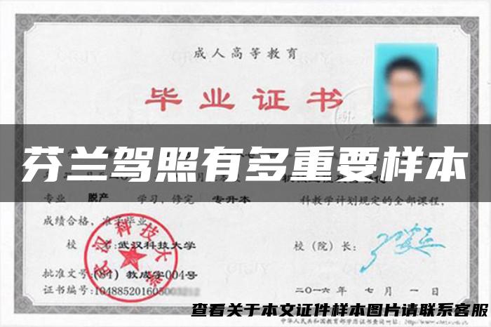 芬兰驾照有多重要样本