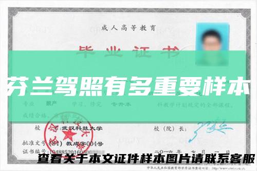 芬兰驾照有多重要样本