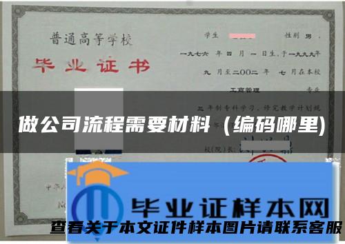 做公司流程需要材料（编码哪里)