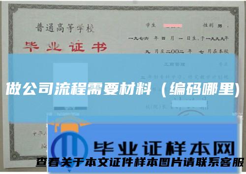 做公司流程需要材料（编码哪里)