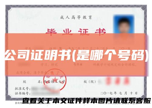 公司证明书(是哪个号码)