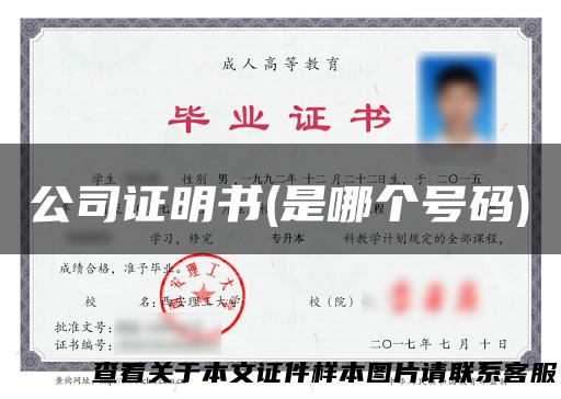公司证明书(是哪个号码)