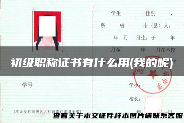 初级职称证书有什么用(我的呢)