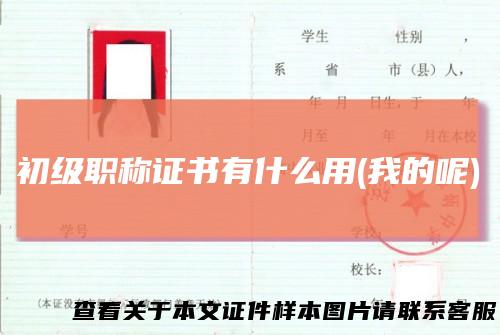 初级职称证书有什么用(我的呢)