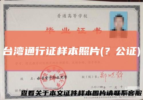 台湾通行证样本照片(？公证)