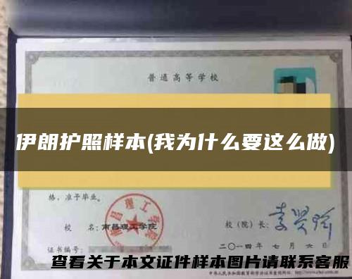 伊朗护照样本(我为什么要这么做)