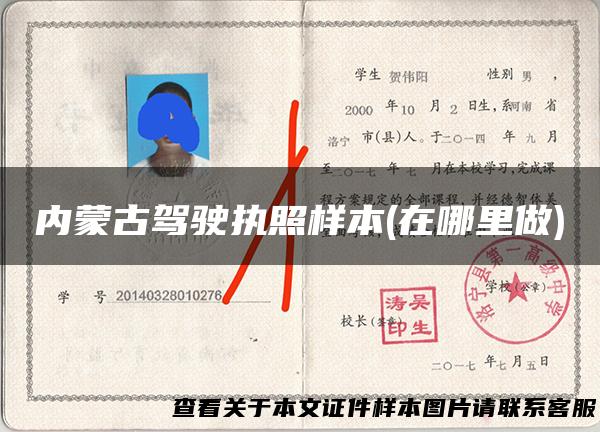 内蒙古驾驶执照样本(在哪里做)