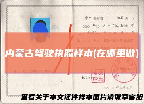内蒙古驾驶执照样本(在哪里做)