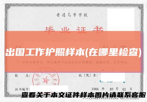 出国工作护照样本(在哪里检查)