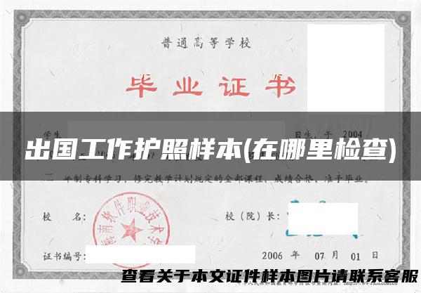 出国工作护照样本(在哪里检查)
