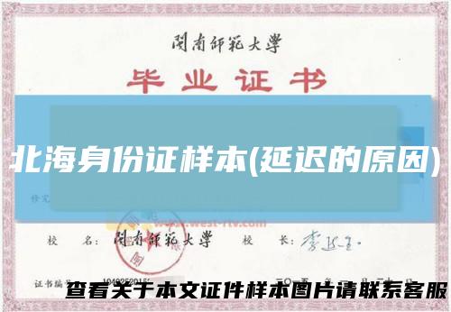 北海身份证样本(延迟的原因)