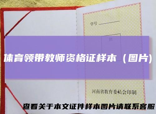 体育领带教师资格证样本(图片)