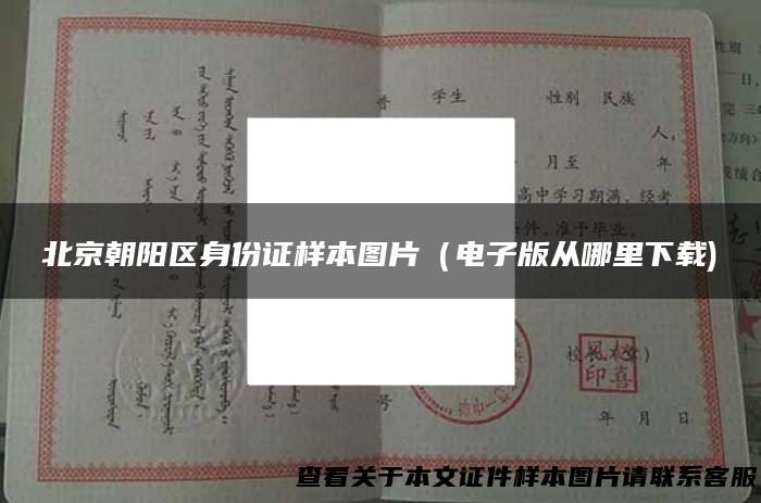 北京朝阳区身份证样本图片（电子版从哪里下载)