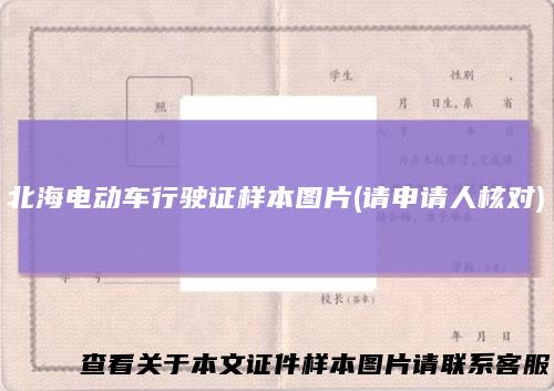 北海电动车行驶证样本图片(请申请人核对)