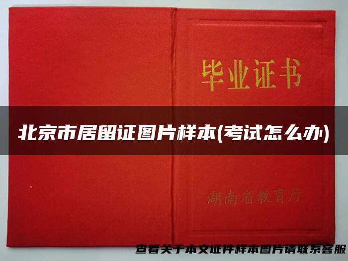 北京市居留证图片样本(考试怎么办)