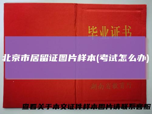 北京市居留证图片样本(考试怎么办)