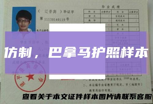 仿制，巴拿马护照样本