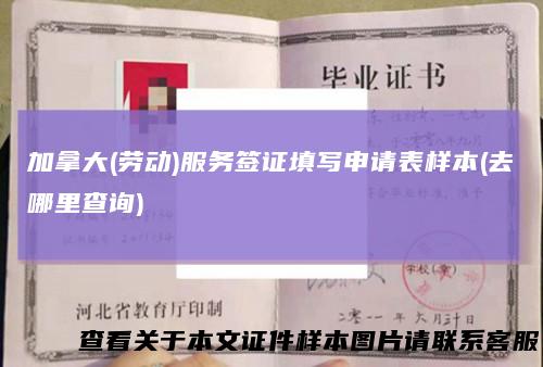 加拿大(劳动)服务签证填写申请表样本(去哪里查询)