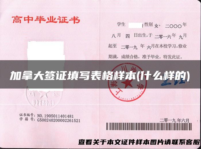 加拿大签证填写表格样本(什么样的)