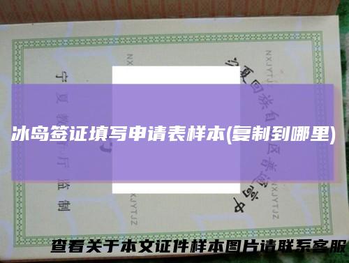冰岛签证填写申请表样本(复制到哪里)