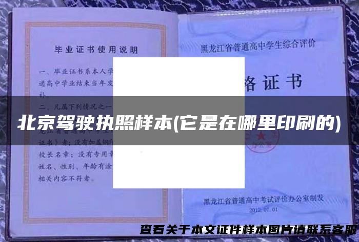北京驾驶执照样本(它是在哪里印刷的)