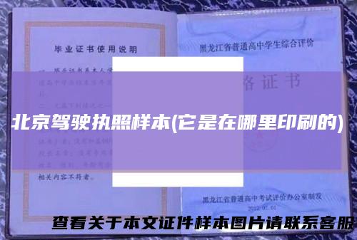 北京驾驶执照样本(它是在哪里印刷的)