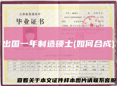 出国一年制造硕士(如何合成)