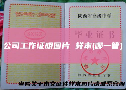 公司工作证明图片 样本(哪一管)