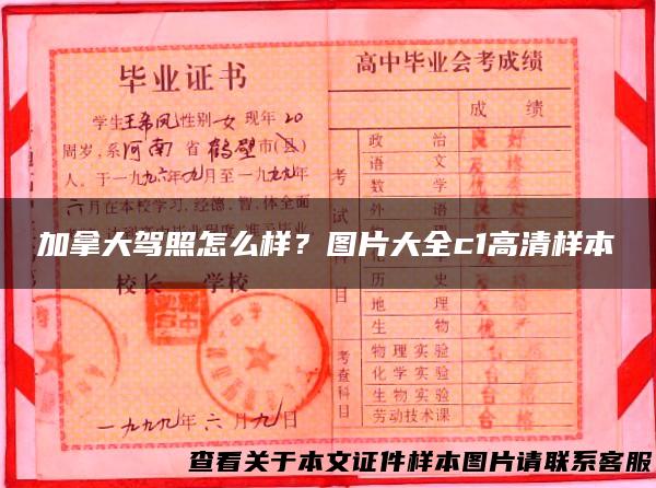 加拿大驾照怎么样？图片大全c1高清样本