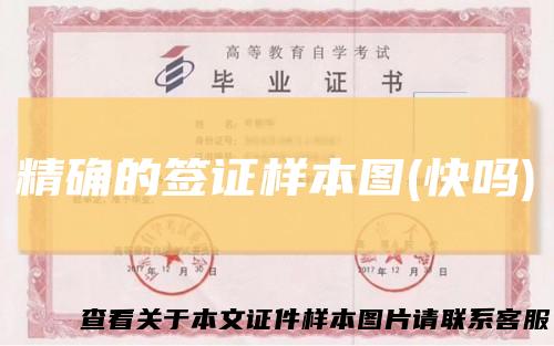 精确的签证样本图(快吗)