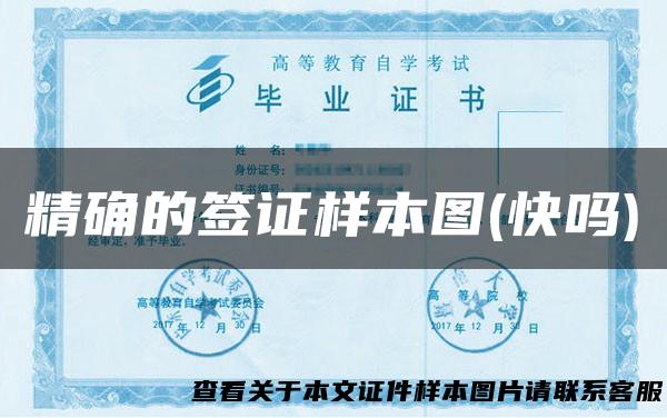 精确的签证样本图(快吗)