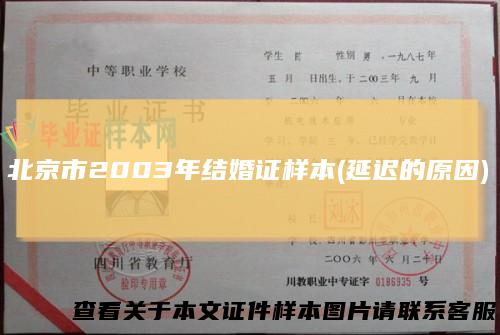 北京市2003年结婚证样本(延迟的原因)