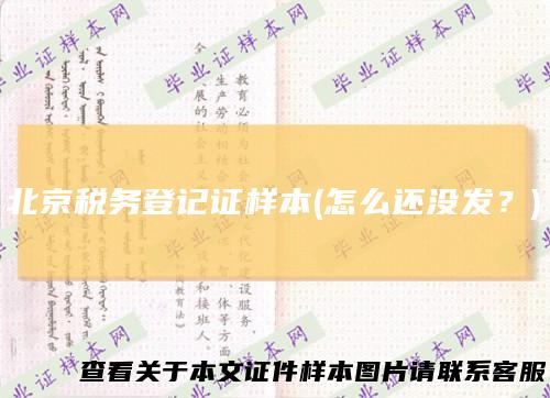 北京税务登记证样本(怎么还没发？)