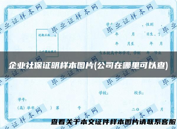 企业社保证明样本图片(公司在哪里可以查)