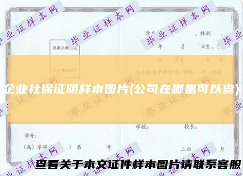 企业社保证明样本图片(公司在哪里可以查)