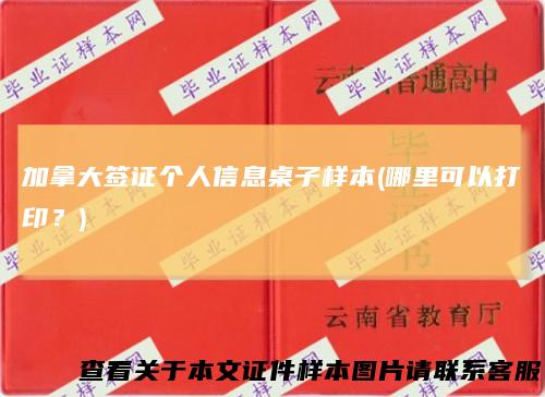 加拿大签证个人信息桌子样本(哪里可以打印？)