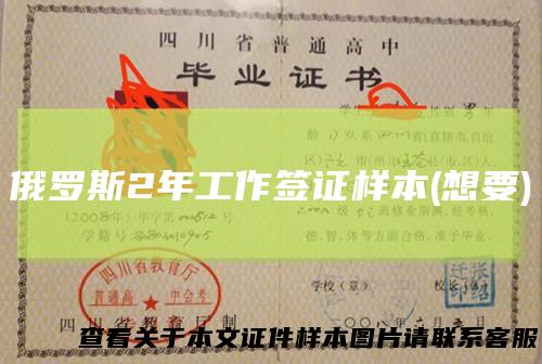 俄罗斯2年工作签证样本(想要)