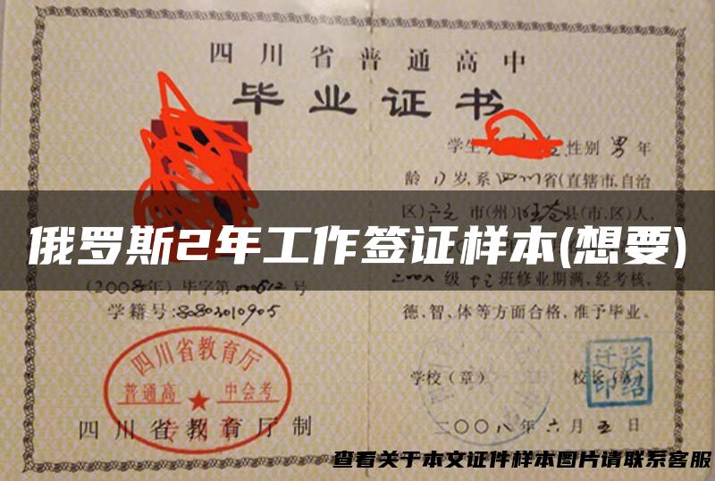 俄罗斯2年工作签证样本(想要)