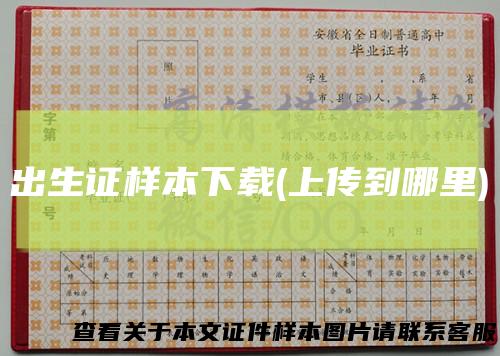 出生证样本下载(上传到哪里)