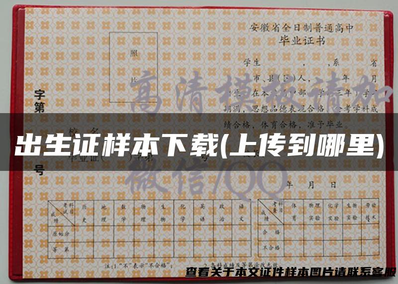 出生证样本下载(上传到哪里)