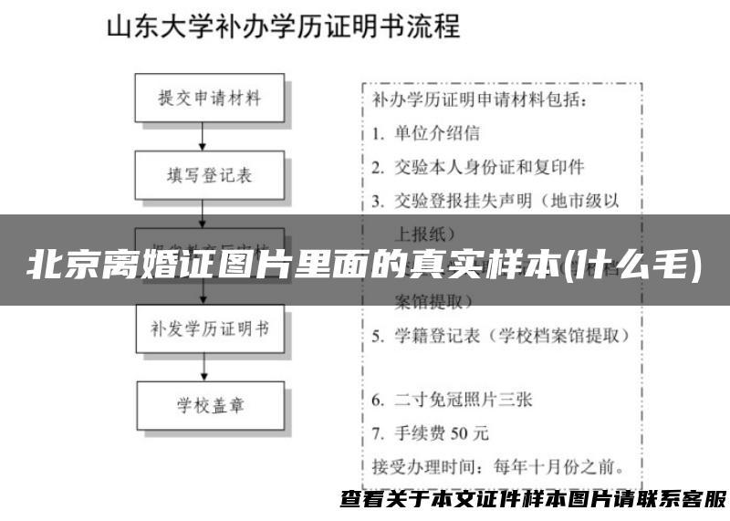 北京离婚证图片里面的真实样本(什么毛)