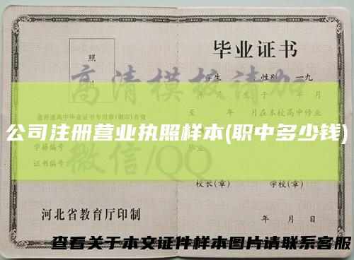 公司注册营业执照样本(职中多少钱)
