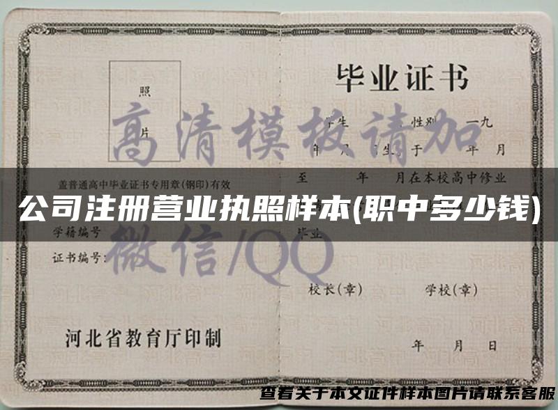 公司注册营业执照样本(职中多少钱)