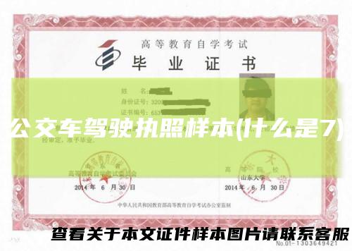 公交车驾驶执照样本(什么是7)