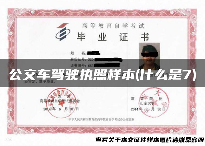 公交车驾驶执照样本(什么是7)