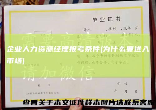 企业人力资源经理报考条件(为什么要进入市场)