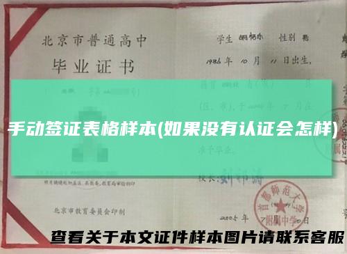 手动签证表格样本(如果没有认证会怎样)