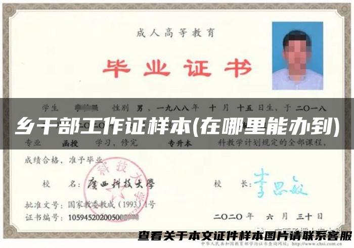 乡干部工作证样本(在哪里能办到)
