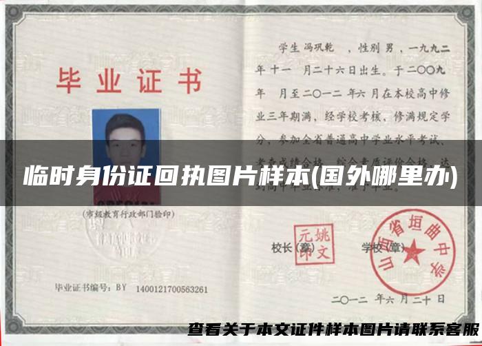 临时身份证回执图片样本(国外哪里办)