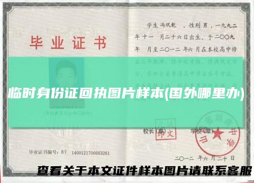 临时身份证回执图片样本(国外哪里办)